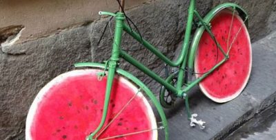 Na potepu s kolesom-Pedalando-On a bicycle trip